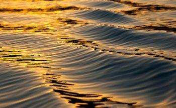 Claudia Cecere Osteopata D.O.M.R.O.I.