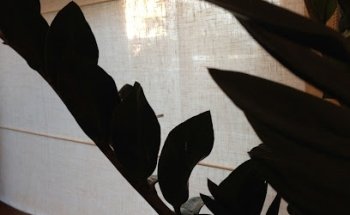 Giannaurelio Scalas - Osteopata