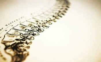 Dott. Alessandro Giordano - Osteopata D.O. Chinesiologo