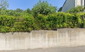 Alessio Zanghi Osteopata Massoterapista