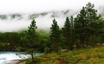 Natuurlijk Gezond Haarlem - Acupunctuur, fysiotherapie, orthomoleculaire therapie en darmtherapie