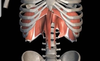 Dott.Francesco Rullo