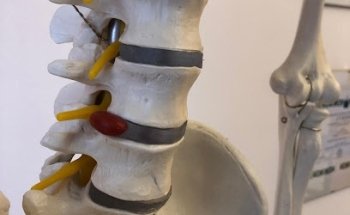 Osteopata Velletri | Dott. Francesco Cerci