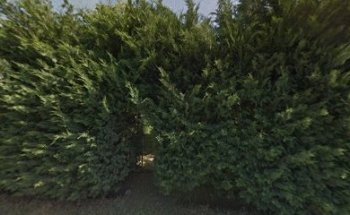 Silvia Farina Osteopata D.O.m.ROI