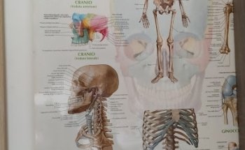 Studio di Postura Massaggio Osteopatia Michele Cafagna