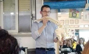 Studio Osteopatico dott. Mauro Negro