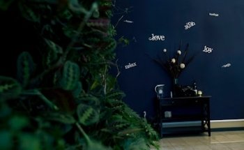 Optimal Living Chiropratico | Dr. Tanya & Dr. Andrew Via