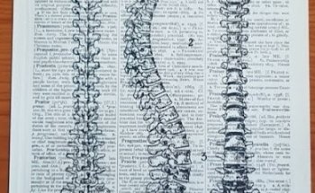 D.O. Alessandro Tamma - Studio di OSTEOPATIA, POSTUROLOGIA e MASSAGGIO