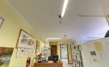 Dott.Trinco Giovanni Tricesimo