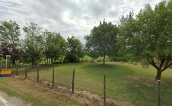 Spirandelli Alex Osteopata D.O