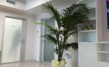 Centro Medico Polispecialistico Citymed -Visite Specialistiche Montecassiano Provincia di Macerata