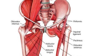 Osteopata Melfi Dott.ssa Laurenziello