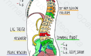 Osteopata Melfi Dott.ssa Laurenziello