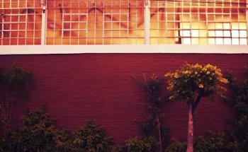 Clínica Paulo Vieira