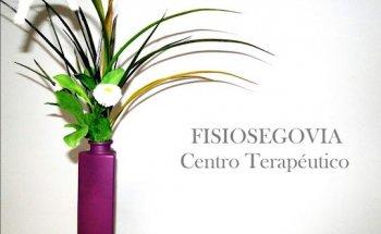 Fisiosegovia