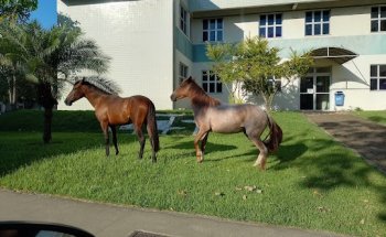 Universidade Federal do Espírito Santo - UFES (Maruípe)