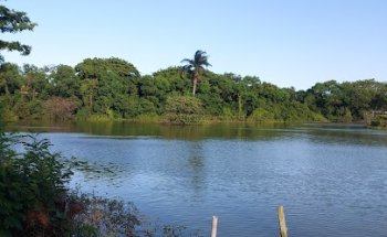 Universidade Federal do Espírito Santo - UFES (campus de Goiabeiras)