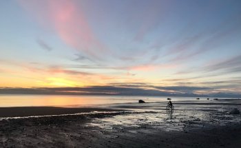 South Anchorage Physical Therapy