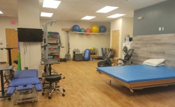 Wise Physical Therapy