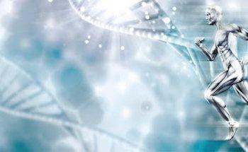 Orthós Physiotherapie