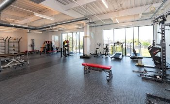 Thrive Rehab & Wellness