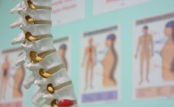Kramer chiropractic