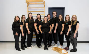 Physio Distinction - Ergothérapie, Ostéopathie, Massothérapie, Acupuncture