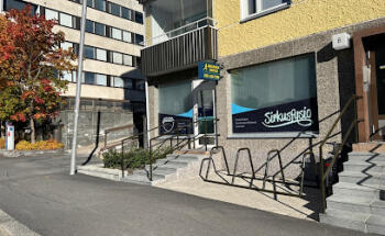 Sirkusfysio