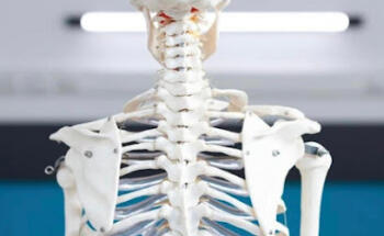 Trowbridge Osteopaths & Wellbeing Centre
