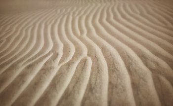 Lori Wynn Physical Therapy