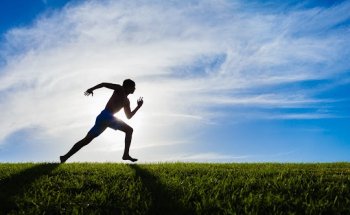 Pro Motion Physical Therapy LLC