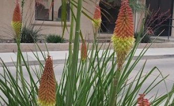 MFI Recovery Center Riverside Outpatient Services and Administrative Offices