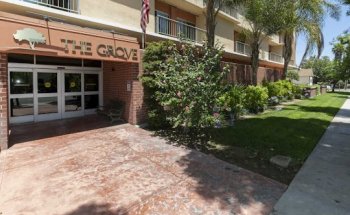 The Grove Care and Wellness