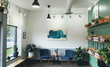 Summit Hill Chiropractic and Physical Therapy