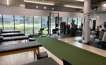 Back To Work Physical Therapy - South Tampa