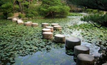 Im Gleichgewicht Fisseler & Kromberg Praxis für Physiotherapie