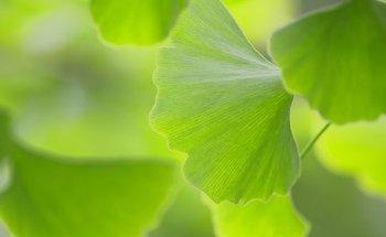 Physiotherapie Köhler