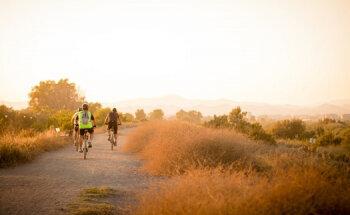 The Joint Physiotherapy & Allied Health