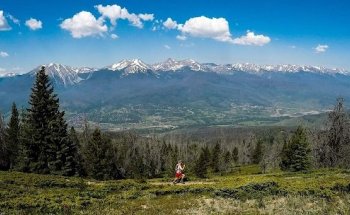 Long Run Physiotherapy & Performance