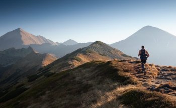 Peak Physical Therapy - Wellness South Denver