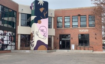 Physical Therapy Evolution