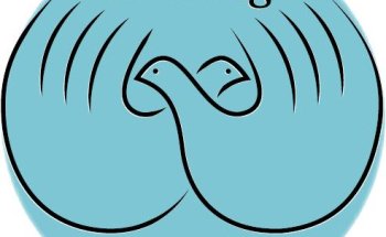 Healing Touch Physical Therapy, LLC.