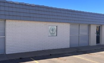 Practical Therapy LLC