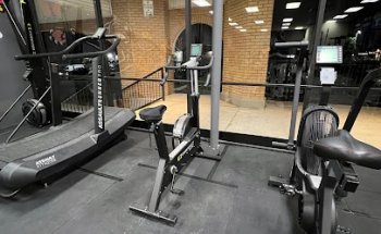 Movement Theory Physical Therapy & Wellness