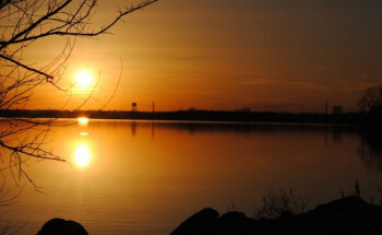 Robin R Varghese, PT