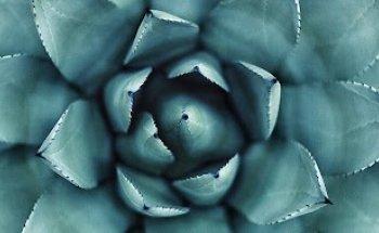 Gesundzimmer München - Laim