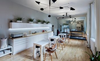 Hand + Physical Therapy NYC