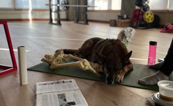 Root & Branch Physical Therapy