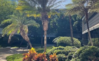 Spine & Sport Physical Therapy- Kearny Mesa, San Diego