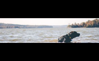 South Sound Physical & Hand Therapy - Lacey